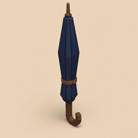 Umbrella — oblique view